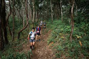 BIB: 
                            <button type="button" onclick="openModal(22795380)" class="btn btn-primary btn-sm float-right btn-popup" data-toggle="modal" data-target=".modal-high-quality">
                        <i class="fas fa-shopping-cart"></i> Add to Cart
                    </button>
                                            <button type="button" onclick="isThisMe(22795380, true)" class="btn btn-success btn-sm float-right btn-popup btn-isme hidden" data-toggle="tooltip" data-placement="bottom" title="นี่คือรูปของคุณใช่ไหม คลิกที่นี่เพื่อเอาเข้าอัลบั้ม">
                        <i class="fas fa-plus"></i> Add to album
                    </button>
                    <button type="button" onclick="isThisMe(22795380, false)" class="btn btn-warning btn-sm float-right btn-popup btn-isnotme hidden">
                        <i class="fas fa-ban"></i> Remove from album
                    </button>